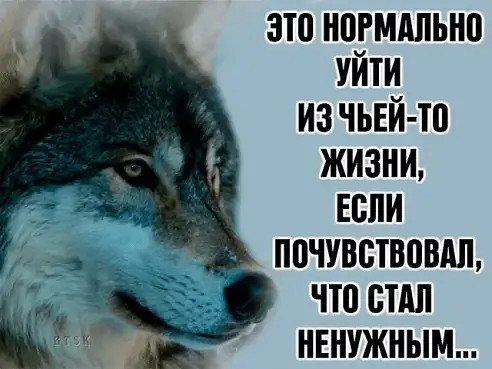 Волк