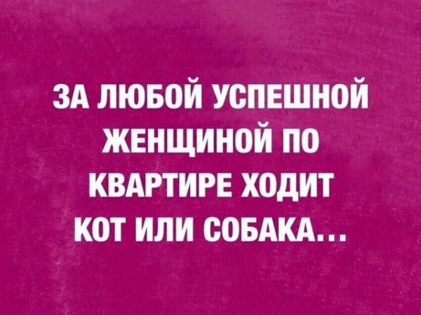 file_101479391