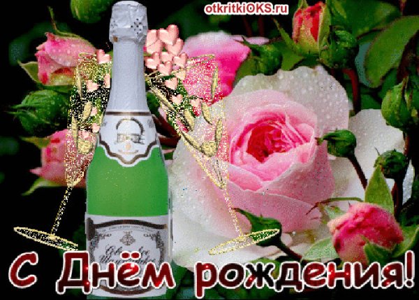 IMG 20171218 155935 87