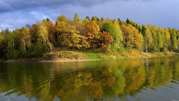 file_82980032