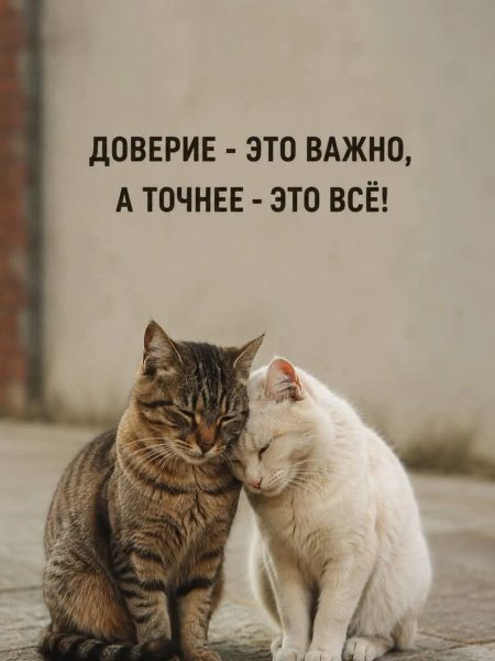 FB IMG 1780148539553