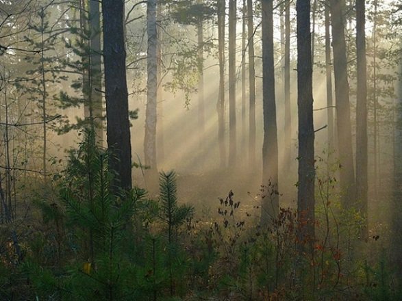 file_74235737