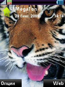 Turp 2010