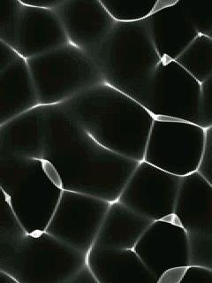 black4.9