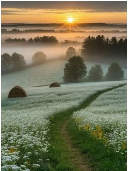 file_103020572
