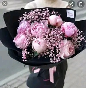 file_95715442