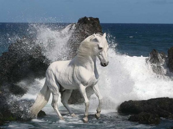 getImage2408