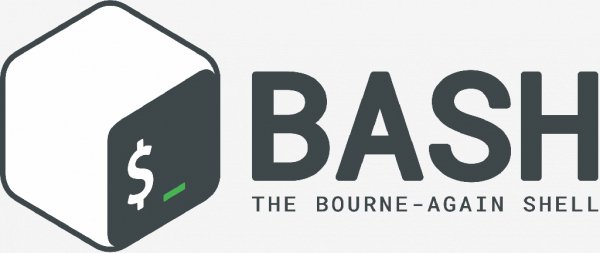 Bash v2