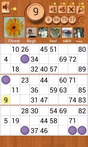 loto 1.7.1