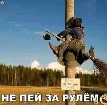 file_103506272