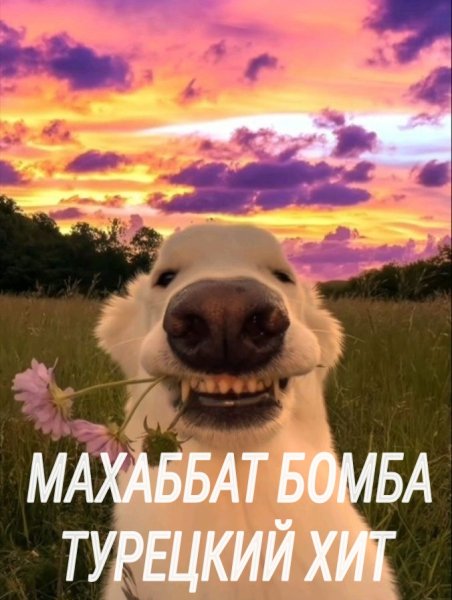 Махаббат бомба- Турецкий хит