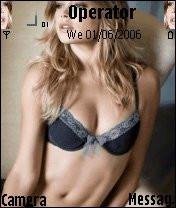theme 23121