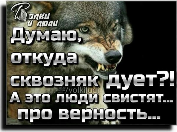 Думаю
