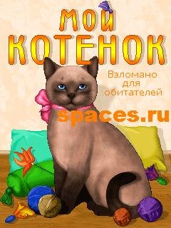 Мой котёнок Билайн и Мегафон