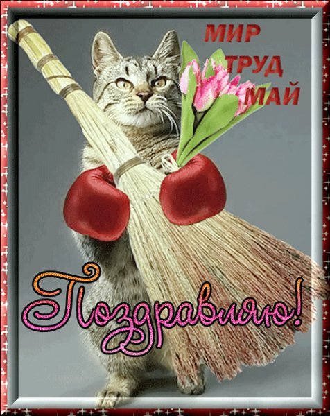Киска)