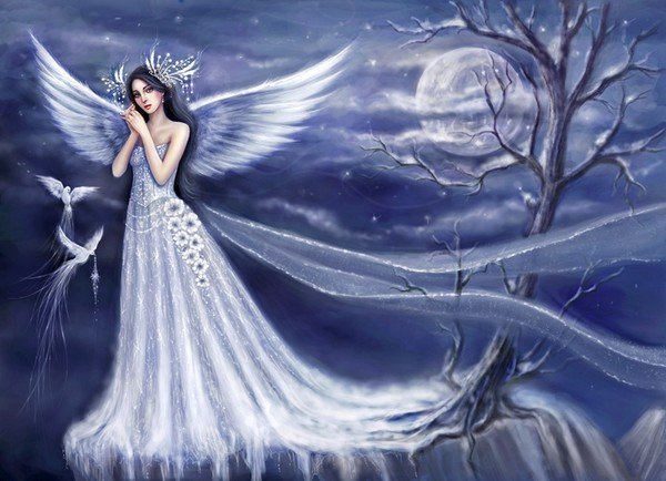 Brooke Gillette (Shadowbrooke) - Snow doves
