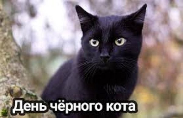 file_97508072