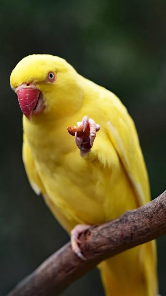 IMG 20220604 224541 303