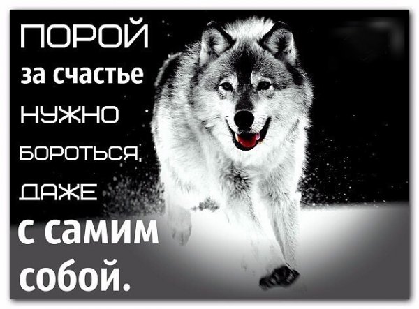 Правда