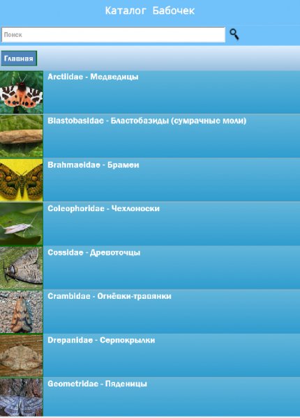 Каталог Бабочек 1.1