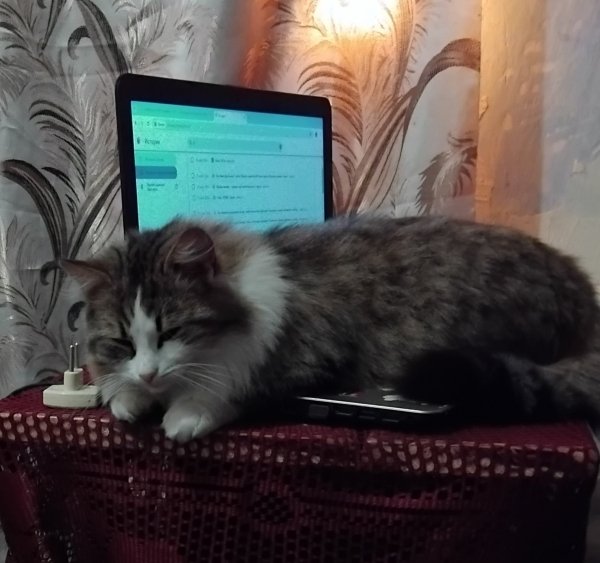 Айрис