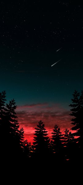 file_96054404