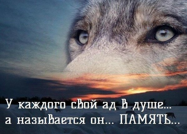 Память