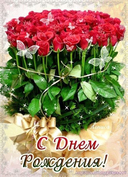 file_81288096