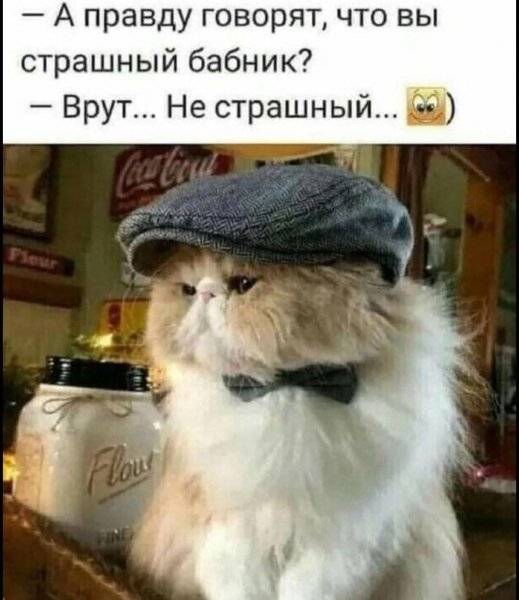 FB IMG 1780591825300