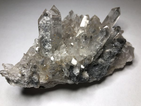 file_82707473