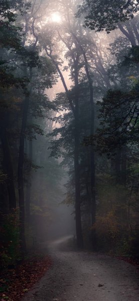 file_100955526