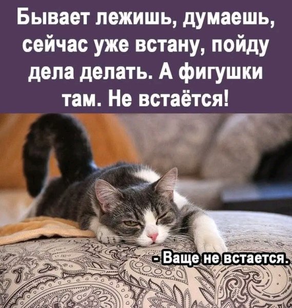 file_103311017