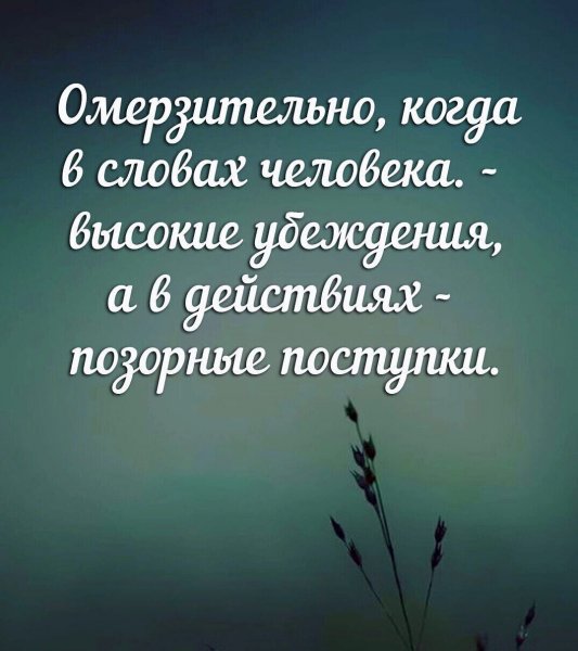 IMG 20240818 120857