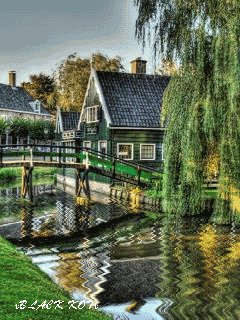 file_82998544