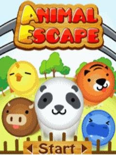 Animal Escape