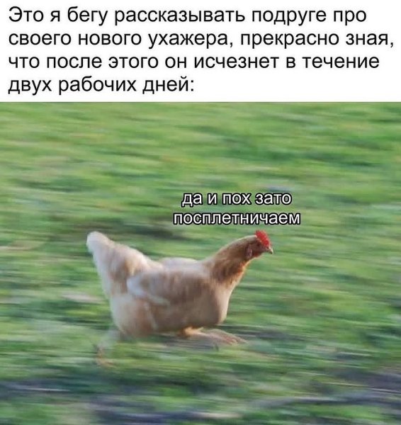file_100852668