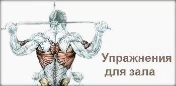 libery-exerceses-v1.4.2