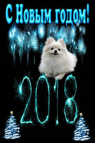 file_71887261