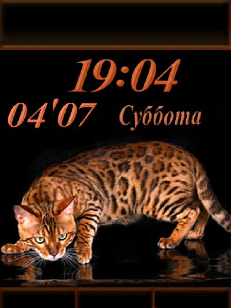 Мыша бенгальского не видали?