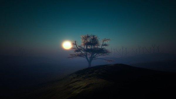 file_83349308
