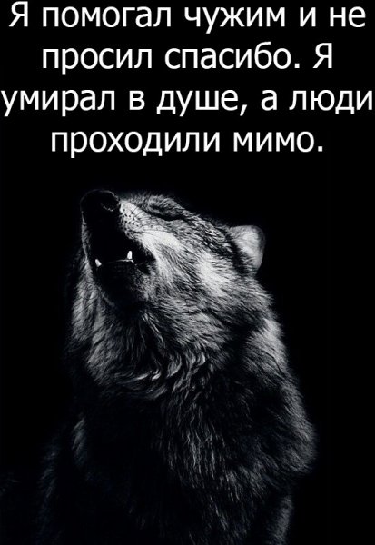 dTdMXtVA nM