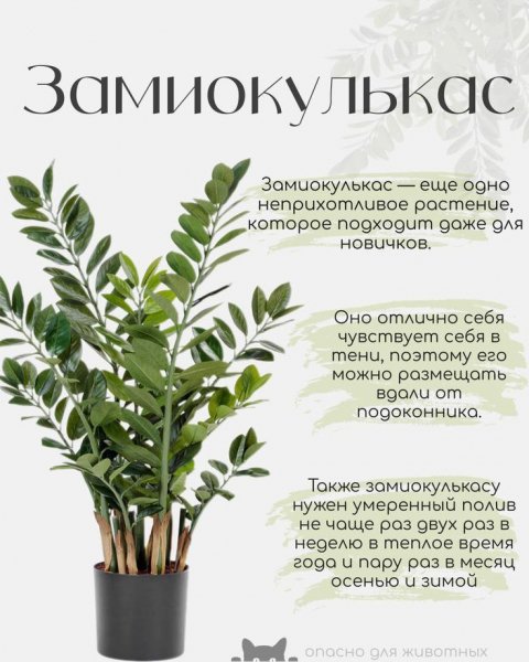IMG 20240603 202749 038