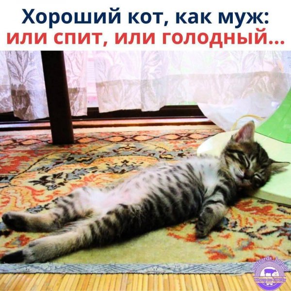 FB IMG 1760817146000