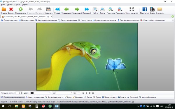 FileViewPro