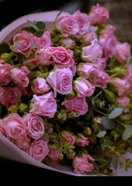file_96281297