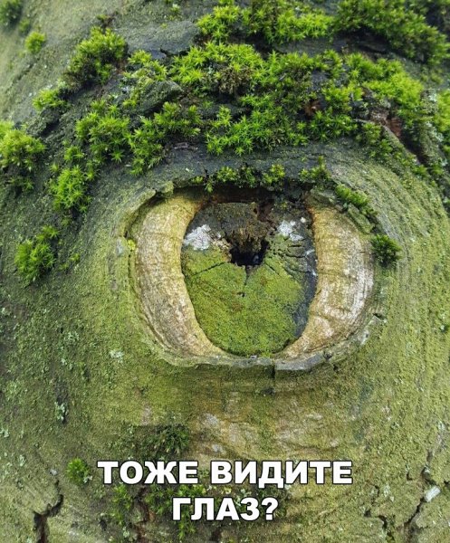 А вы его видите
