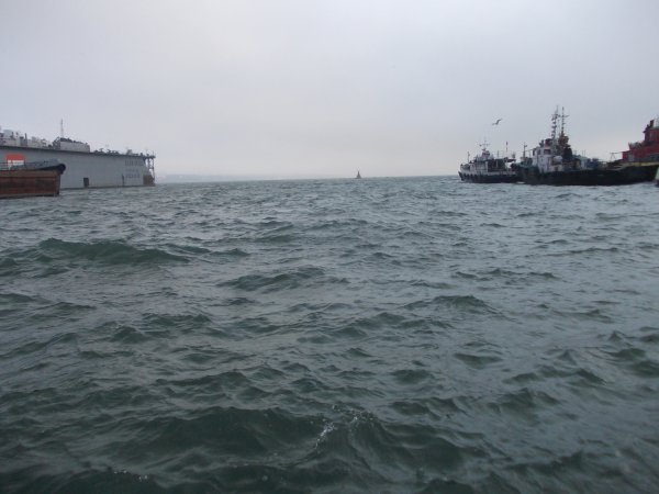 DSCN0869