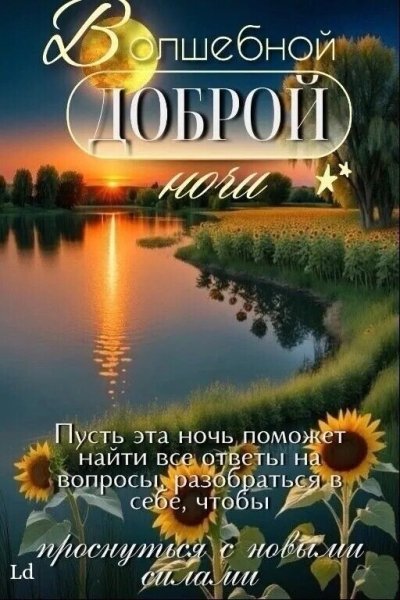 IMG 20260813 021009