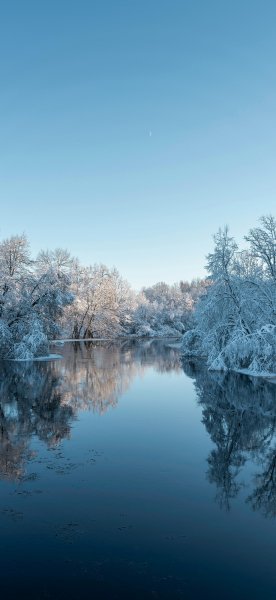 file_101084200