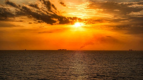 file_99295159